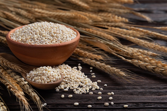 the-important-benefits-of-barley-to-ones-health